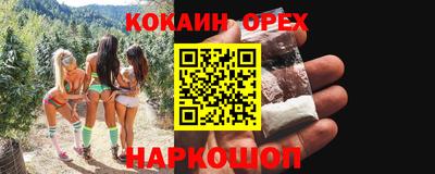 крисы Новокубанск