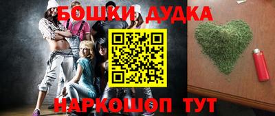 крисы Новокубанск