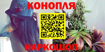 крисы Новокубанск