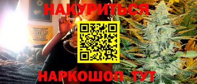 индика Новозыбков