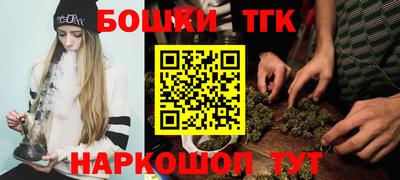 индика Новозыбков